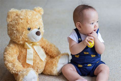 playgroup singapore|teddy.